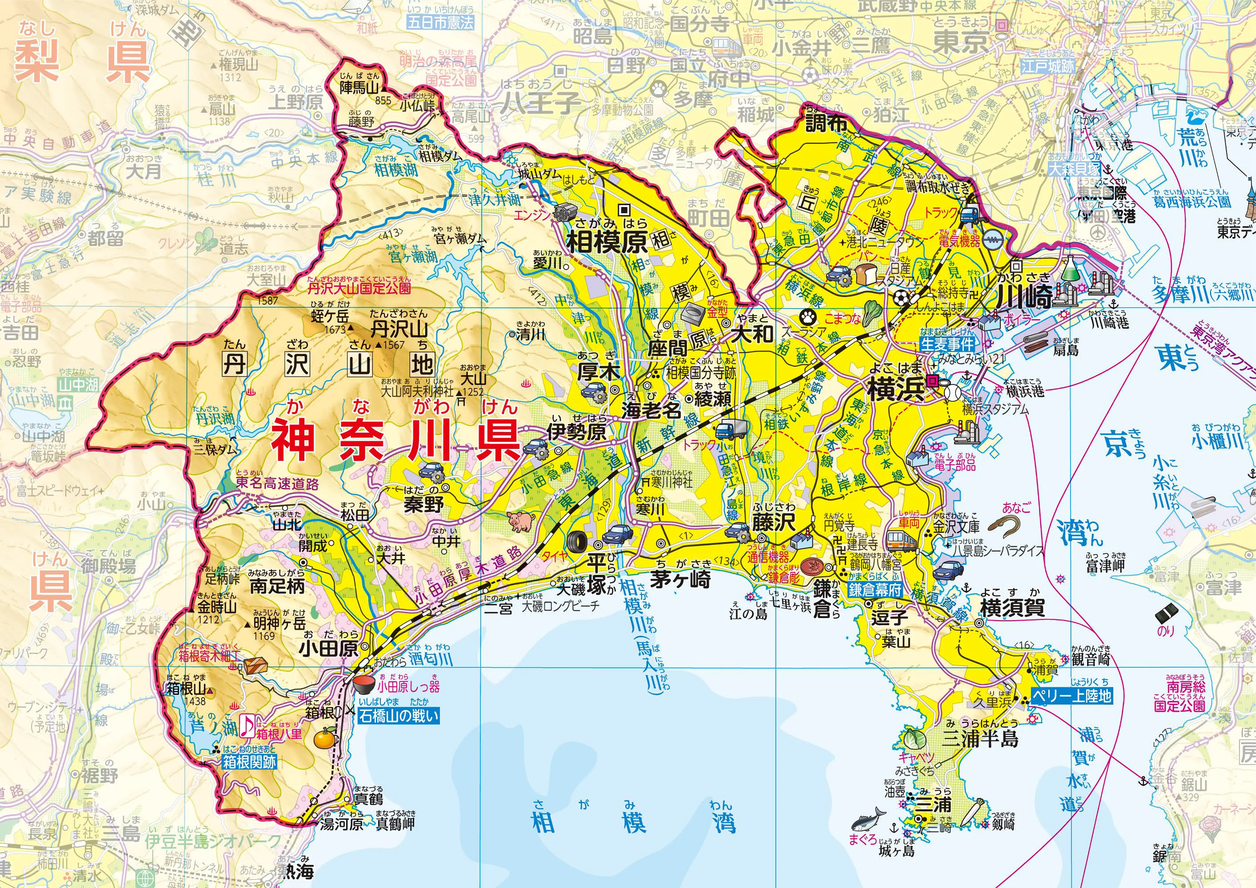 神奈川県｜47都道府県地図｜楽しく学ぶ 小学生の地図帳