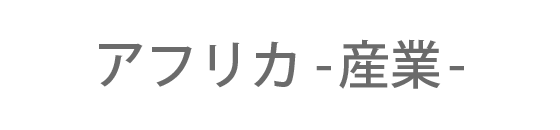 アフリカ -産業-