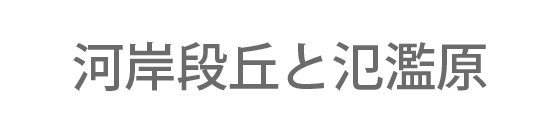 河岸段丘と氾濫原